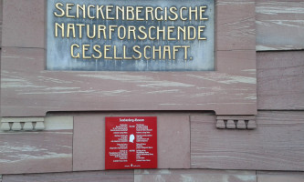 Das Senckenberg Museum
