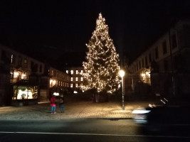 Das Stadtschloß bei Nacht mit Weihnachtstanne