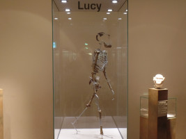 ...und das ist Lucy